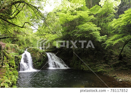 Fresh green red-eye-red waterfall Fresh green red-eye-red waterfall 78117852