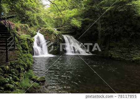 Fresh green red-eye-red waterfall Fresh green red-eye-red waterfall 78117855
