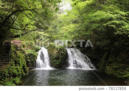 Fresh green red-eye-red waterfall Fresh green red-eye-red waterfall 78117858