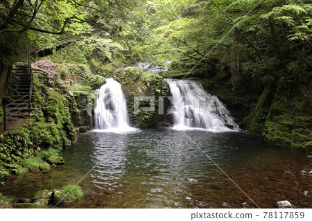 Fresh green red-eye-red waterfall Fresh green red-eye-red waterfall 78117859