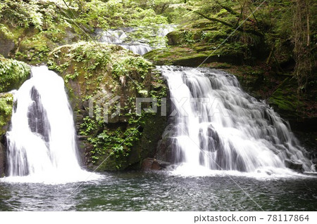 Fresh green red-eye-red waterfall 78117864
