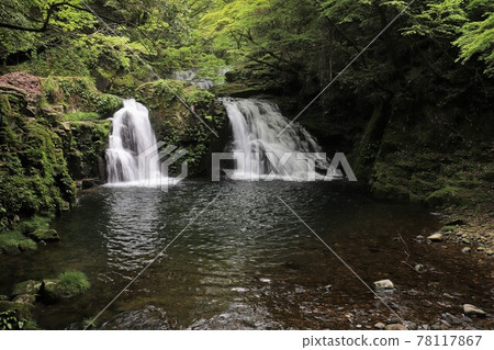 Fresh green red-eye-red waterfall 78117867