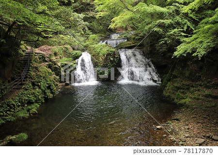 Fresh green red-eye-red waterfall Fresh green red-eye-red waterfall 78117870