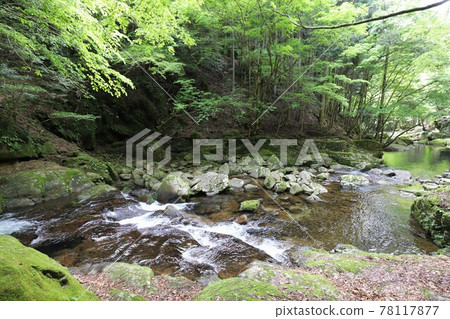 Fresh green red-eye-red waterfall 78117877