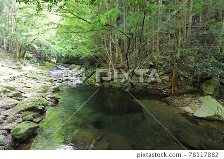 Fresh green red-eye-red waterfall 78117882