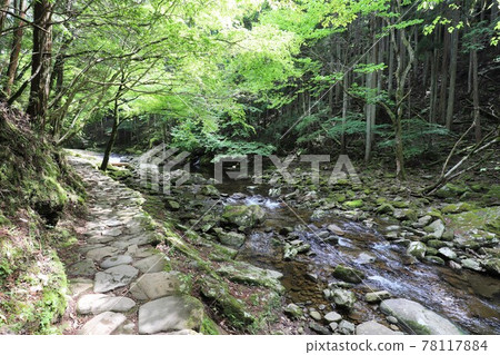 Fresh green red-eye-red waterfall 78117884