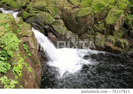 Fresh green red-eye-red waterfall Fresh green red-eye-red waterfall 78117911