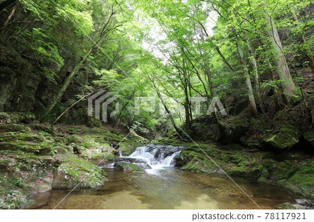 Fresh green red-eye-red waterfall 78117921