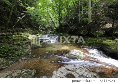 Fresh green red-eye-red waterfall Fresh green red-eye-red waterfall 78117924