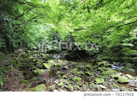 Fresh green red-eye-red waterfall Fresh green red-eye-red waterfall 78117938