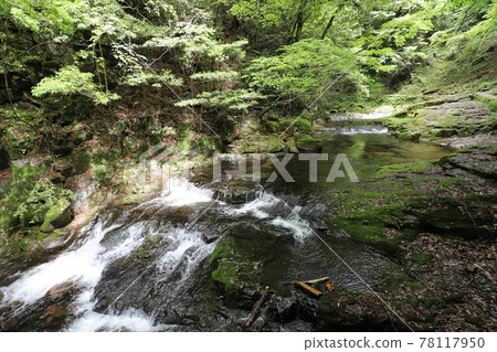 Fresh green red-eye-red waterfall Fresh green red-eye-red waterfall 78117950