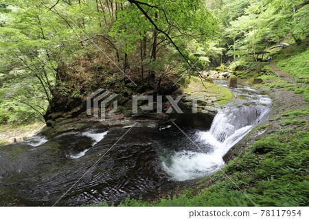 Fresh green red-eye-red waterfall 78117954