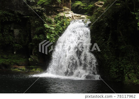 Fresh green red-eye-red waterfall 78117962