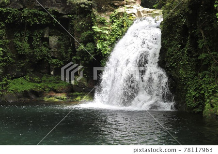 Fresh green red-eye-red waterfall Fresh green red-eye-red waterfall 78117963