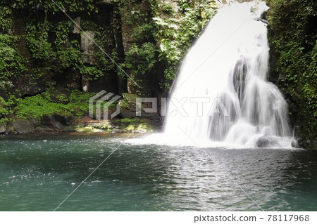 新鮮的綠色紅眼紅色瀑布 新鮮的綠色紅眼紅色瀑布 78117968