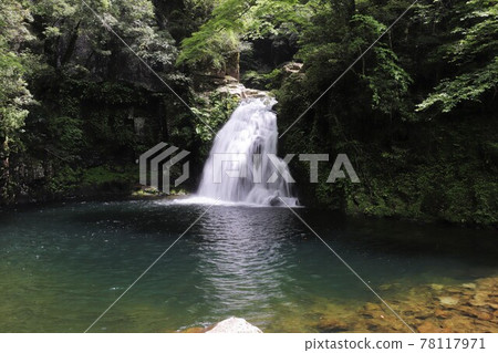 Fresh green red-eye-red waterfall 78117971