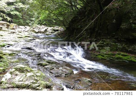 Fresh green red-eye-red waterfall 78117981