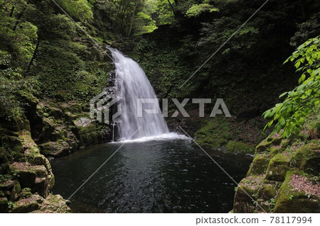 Fresh green red-eye-red waterfall 78117994
