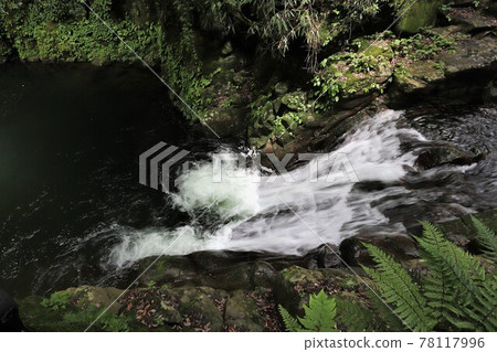 Fresh green red-eye-red waterfall Fresh green red-eye-red waterfall 78117996