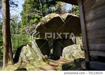 Tono's Spring Tsuzukiishi 78118024