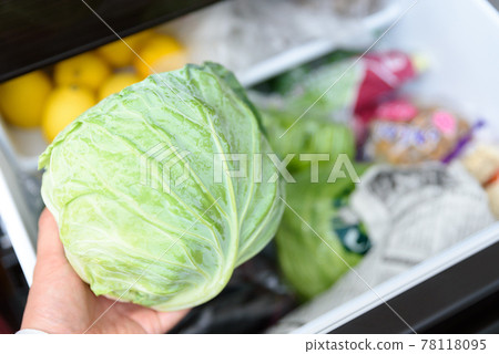 Men's hands taking cabbage out of the refrigerator for cooking Vegetable room Men's hands taking cabbage out of the refrigerator for cooking Vegetable room 78118095
