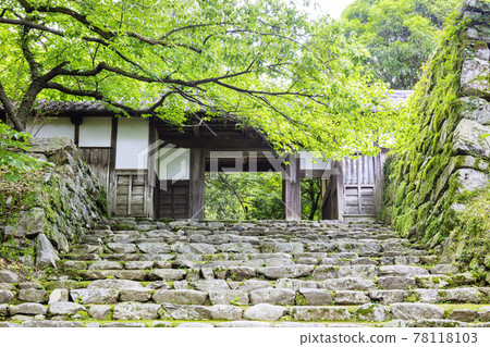 美麗清新的綠色長屋門秋月城遺址 美麗清新的綠色長屋門秋月城遺址 78118103