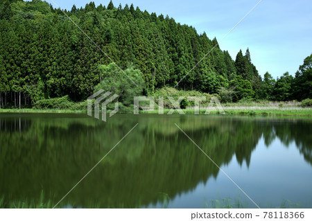 Ryuogabuchi [奈良縣宇田市室夢小寺] 78118366