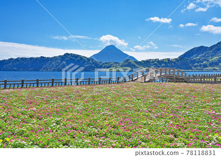 [Kaimondake from Lake Ikeda] Ikeda, Ibusuki City, Kagoshima Prefecture 78118831