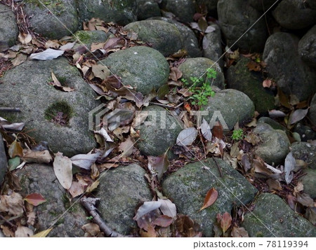 Edo Highway Cobblestone Edo Highway Cobblestone 78119394