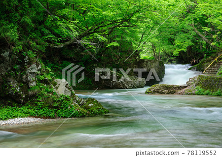 春天 美麗的溪流和船之瀑布 秋田縣 春天 美麗的溪流和船之瀑布 秋田縣 78119552