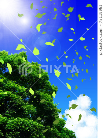 Illustration of leaves flying from a tree under the shining blue sky 3 Illustration of leaves flying from a tree under the shining blue sky 3 78119963