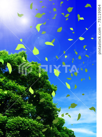 Illustration of leaves flying from a tree under the shining blue sky 2 Illustration of leaves flying from a tree under the shining blue sky 2 78119964