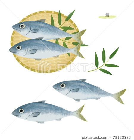 鯖魚手繪插畫/水彩觸感 鯖魚手繪插畫/水彩觸感 78120583