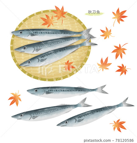 秋刀魚手繪插畫/水彩觸感 78120586