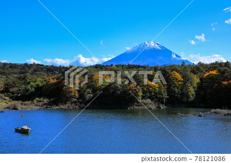 富士五湖西湖秋景 富士河口湖町 富士五湖西湖秋景 富士河口湖町 78121086
