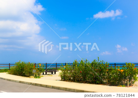 Ishigaki Island Sightseeing Spot At the foot of Tamatorizaki Observatory 78121844
