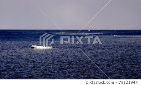 Okhotsk Sea in winter 78121947