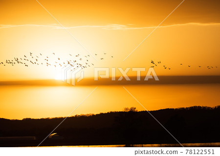 Sunset and Magan in Miyajimanuma, Hokkaido 78122551