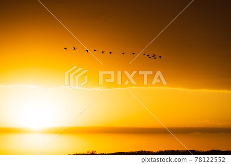 Sunset and Magan in Miyajimanuma, Hokkaido Sunset and Magan in Miyajimanuma, Hokkaido 78122552