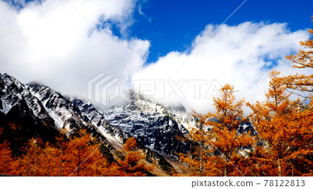 Autumn leaves of Kamikochi 78122813