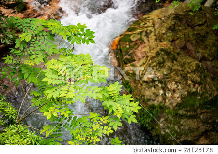 Scenery of a waterfall that flows down into the clear stream Takemakeikoku when it is fresh green 78123178