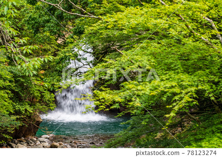 Scenery of a waterfall that flows down into the clear stream Takemakeikoku when it is fresh green 78123274