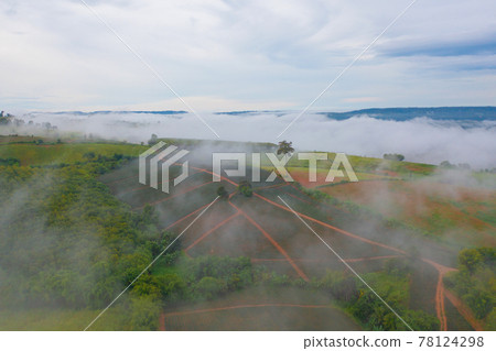 Aerial top view of forest trees with fog mist and green mountain hill at sunset. Nature landscape background, Thailand. Aerial top view of forest trees with fog mist and green mountain hill at sunset. Nature landscape background, Thailand. 78124298