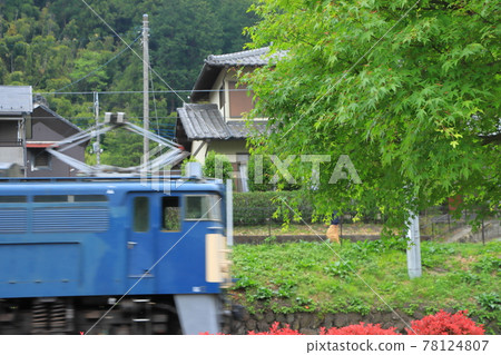Usui Pass Railway Cultural Village_EF63 Electric Locomotive (photographed on 5/15/2021) 78124807