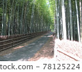  Bamboo grove 78125224