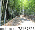  Bamboo grove 78125225