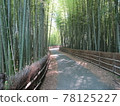  Bamboo grove 78125227
