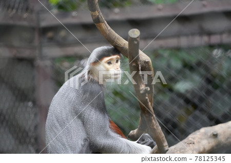 Where and where are you going 78125345