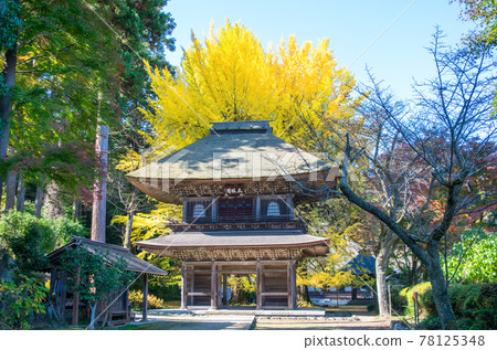 秋留野市幸德寺山門大銀杏指定史蹟 秋留野市幸德寺山門大銀杏指定史蹟 78125348