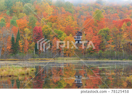 Canada_Laurentian Mountains 秋色 Canada_Laurentian Mountains 秋色 78125458